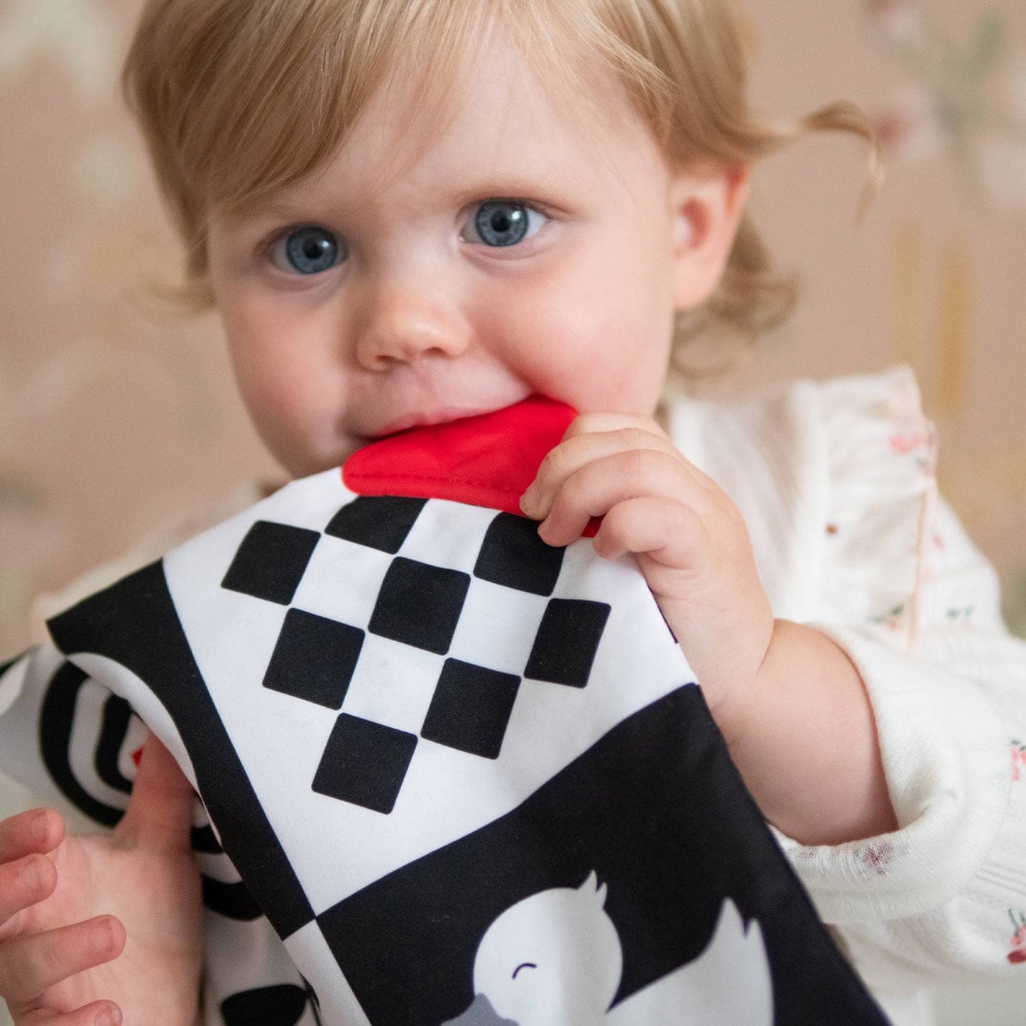 Sensory Crinkle Square Newborn Sensory Crinkle Toy with Teether | Mucky Wolf