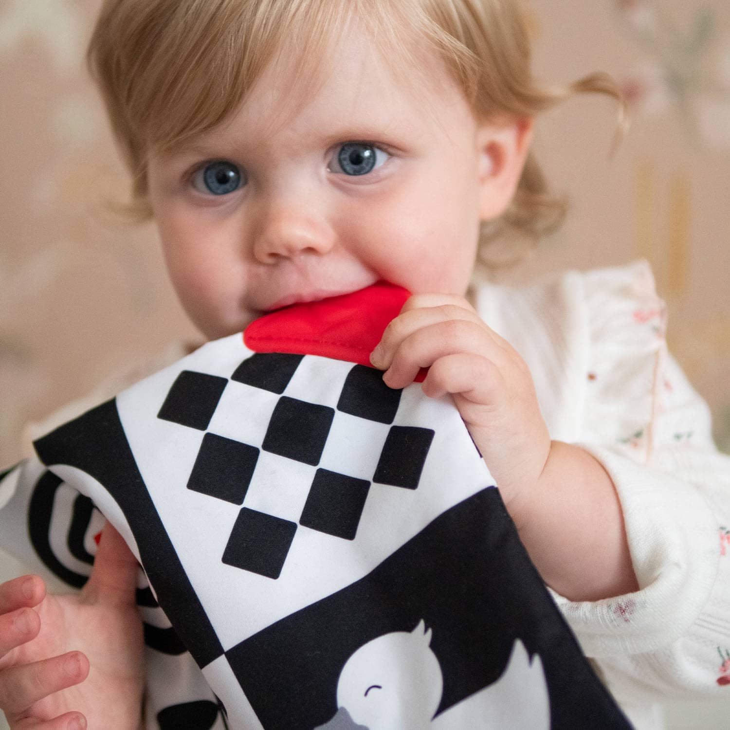 Sensory Crinkle Square Newborn Sensory Crinkle Toy with Teether | Mucky Wolf