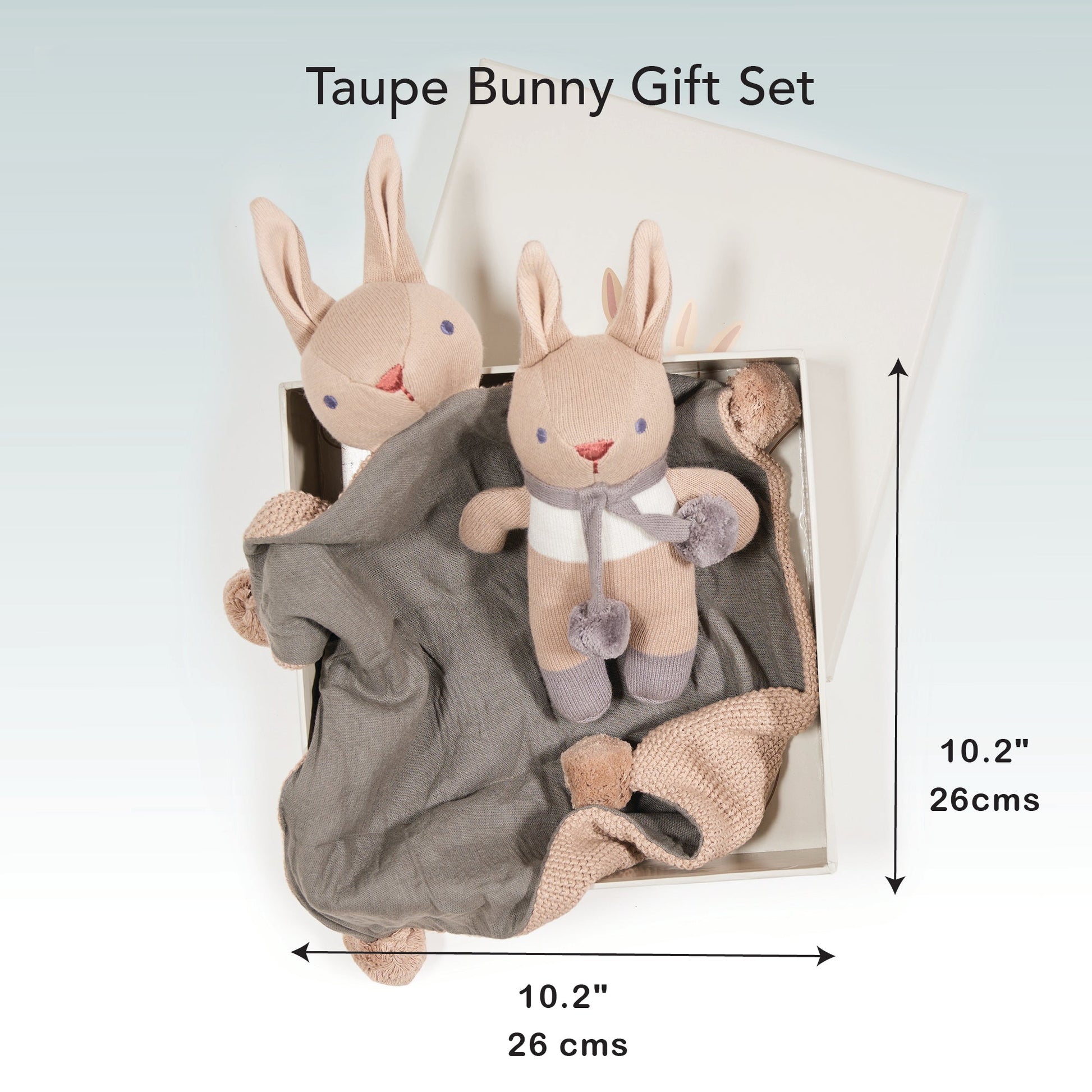 Organic Bunny Baby Gift Set