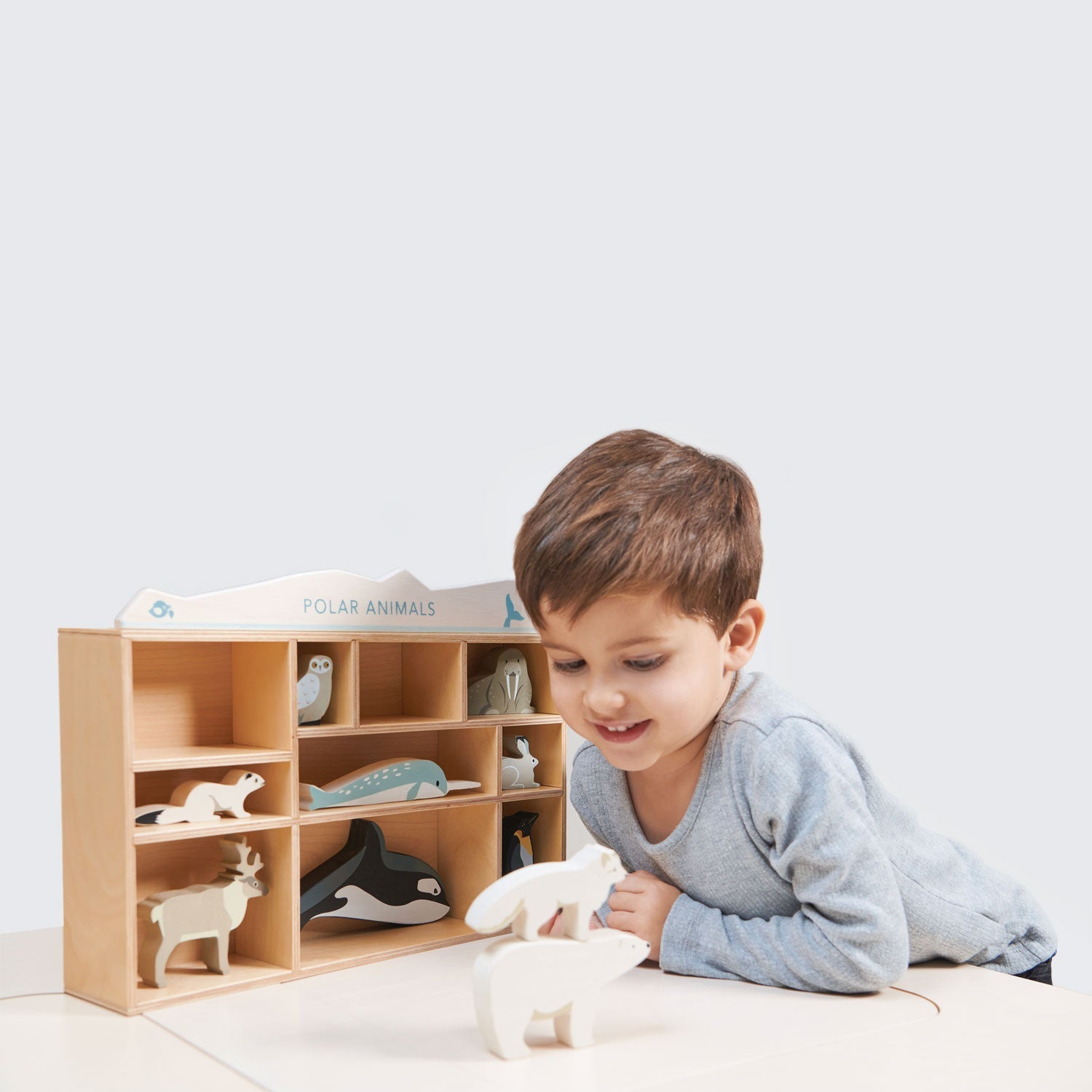 Wooden Polar Toy Animals With Display Shelf Unit - Tender Leaf Toys