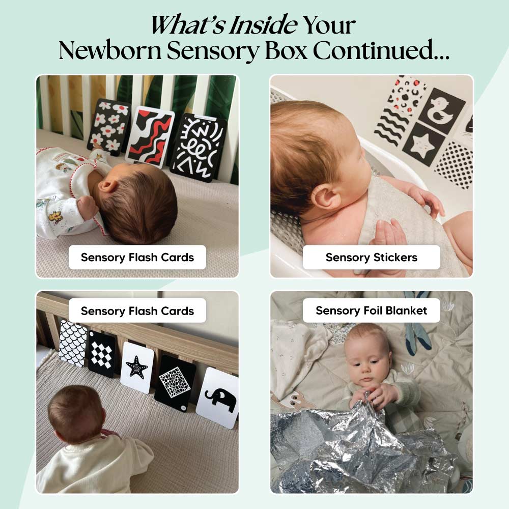 The Newborn Sensory Box (0-6+ Months) | Baby Sensory Toys | Mucky Wolf 