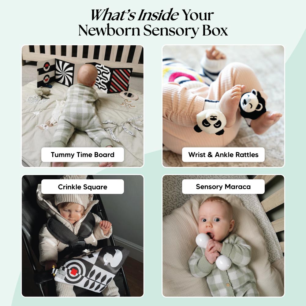 The Newborn Sensory Box (0-6+ Months) | Baby Sensory Toys | Mucky Wolf 