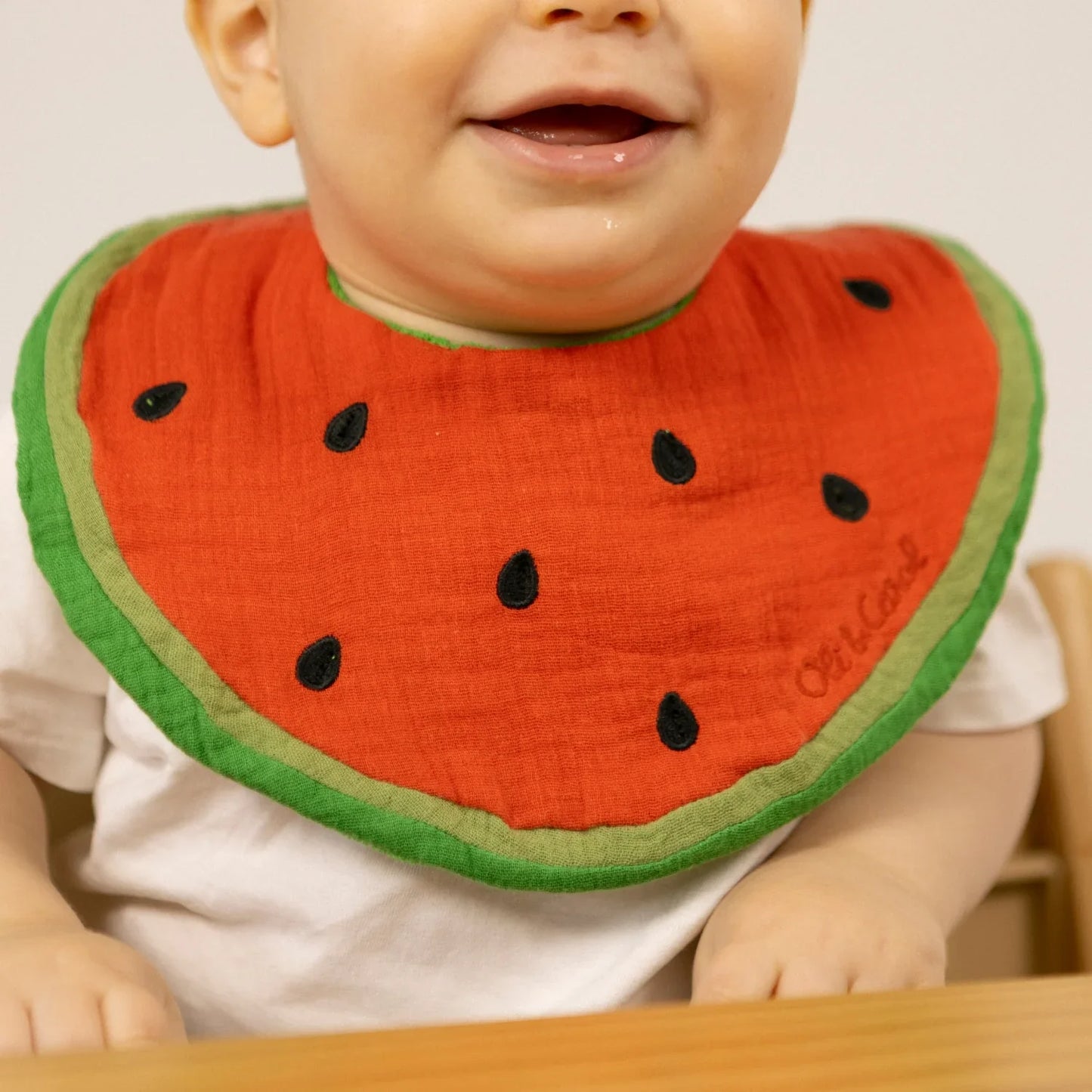 Watermelon Feeding Bib - Organic