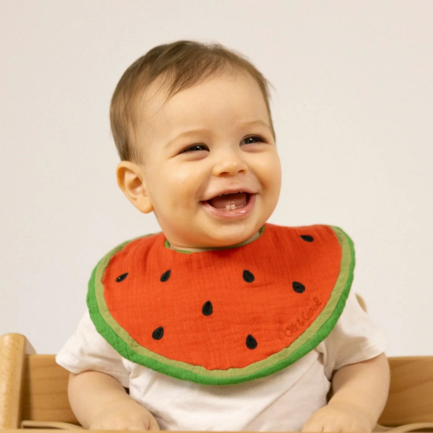 Watermelon Feeding Bib - Organic