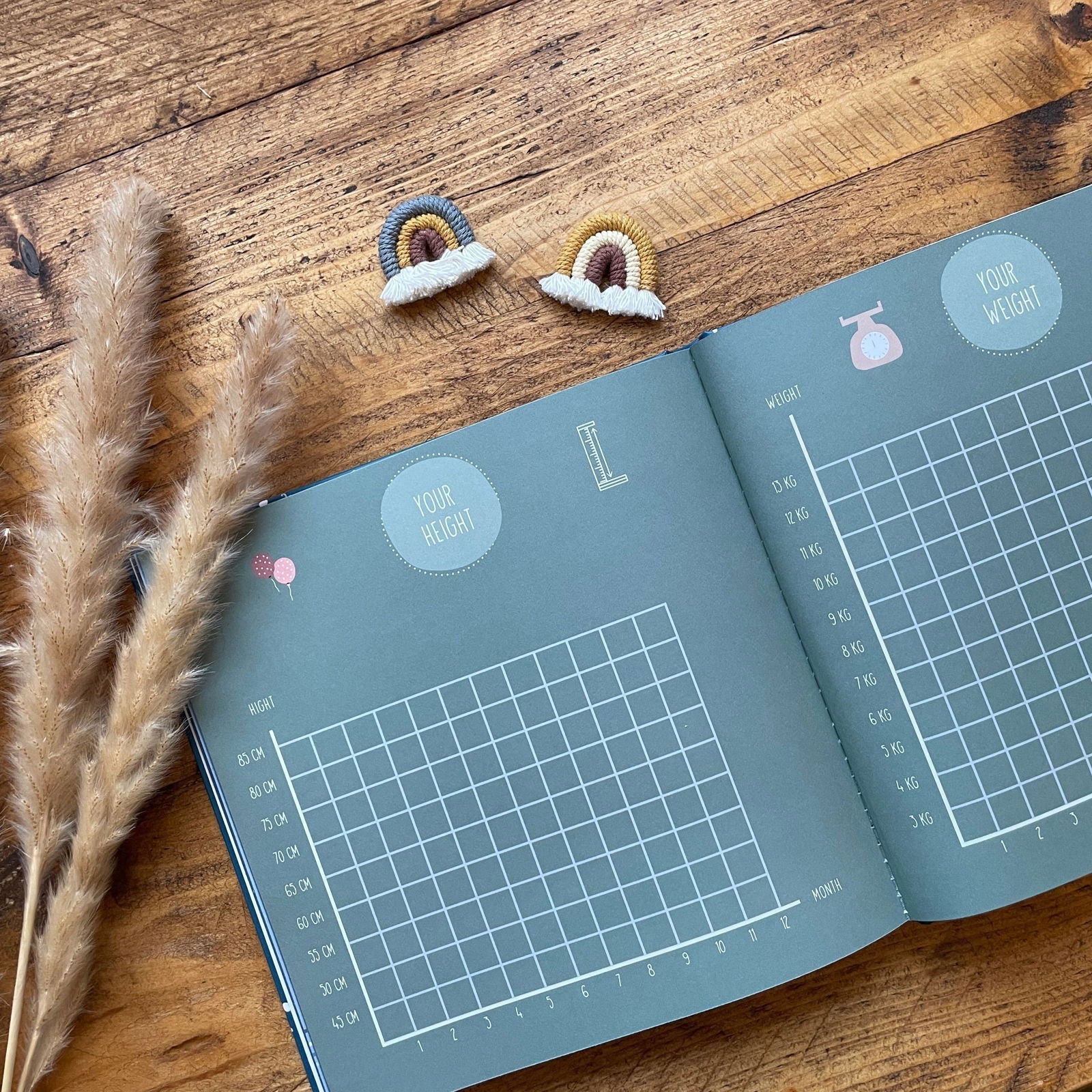 Your First Year Baby Memory Book - Keepsake Journal | Little Goose