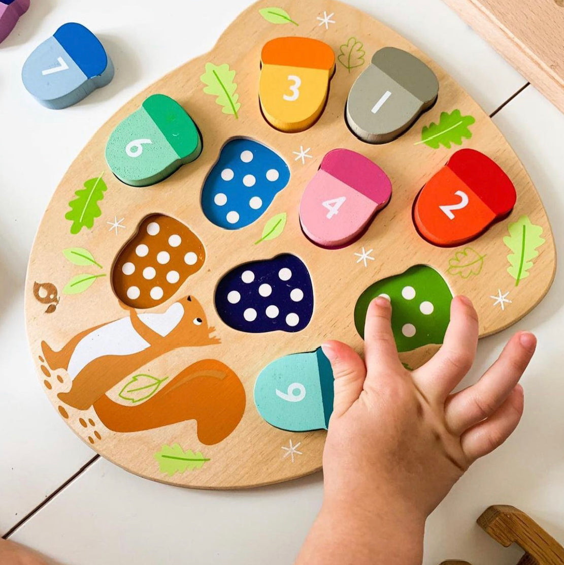 Wooden Acorn Counting Toy