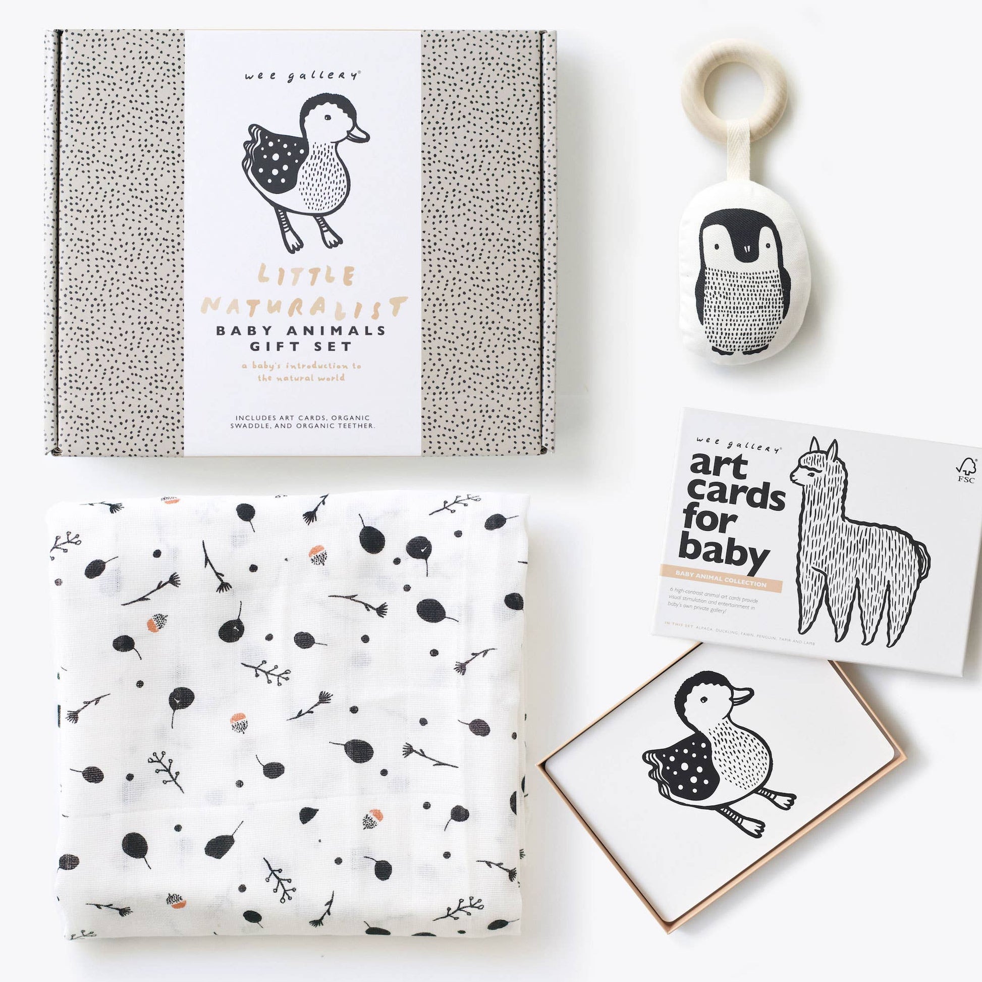 Wee Gallery Little Naturalist Gift Set - Baby Animals