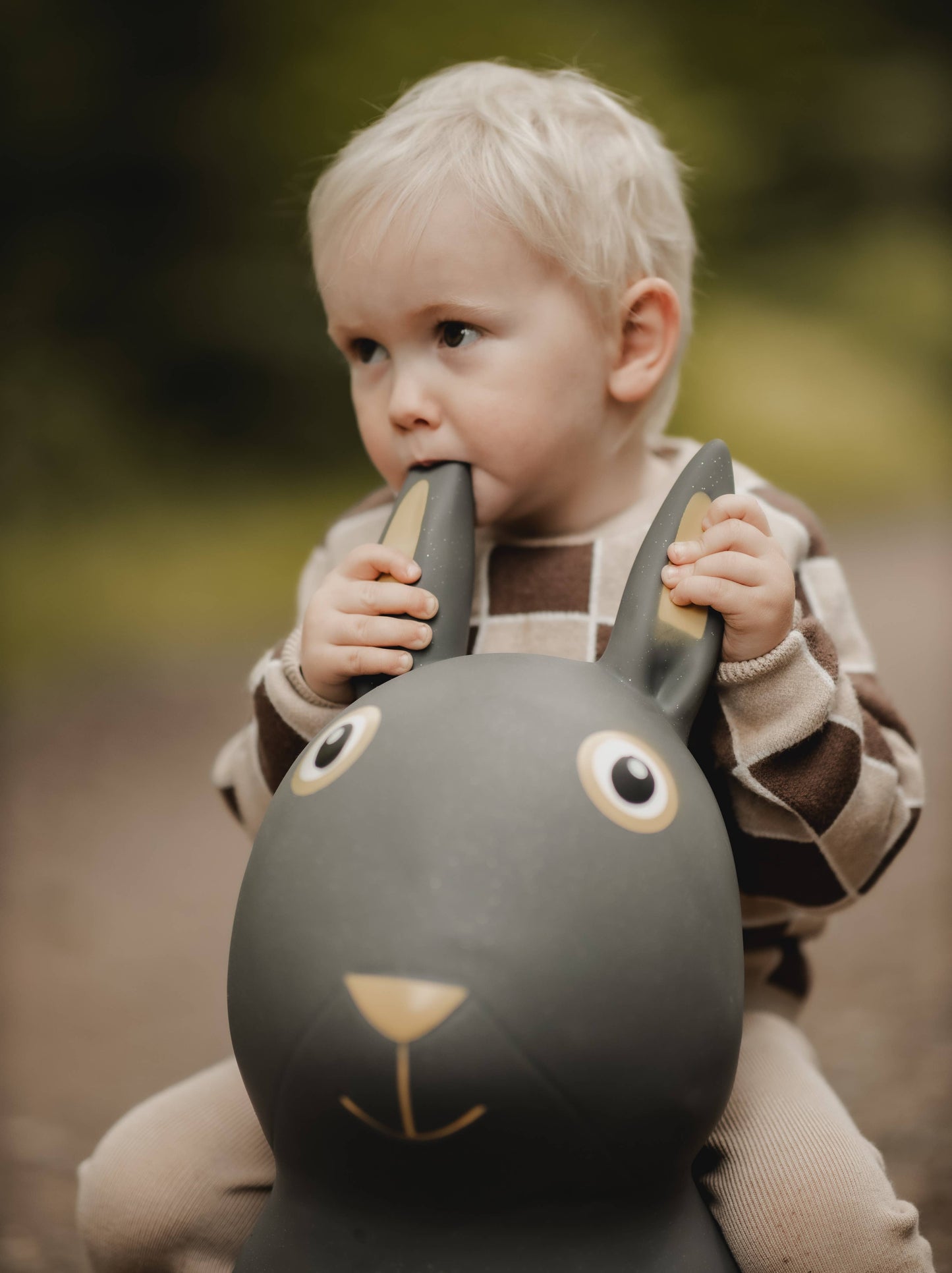 Bouncing Rabbit Hopper Toy