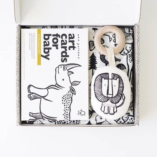 Organic newborn gift set perfect for baby shower gift