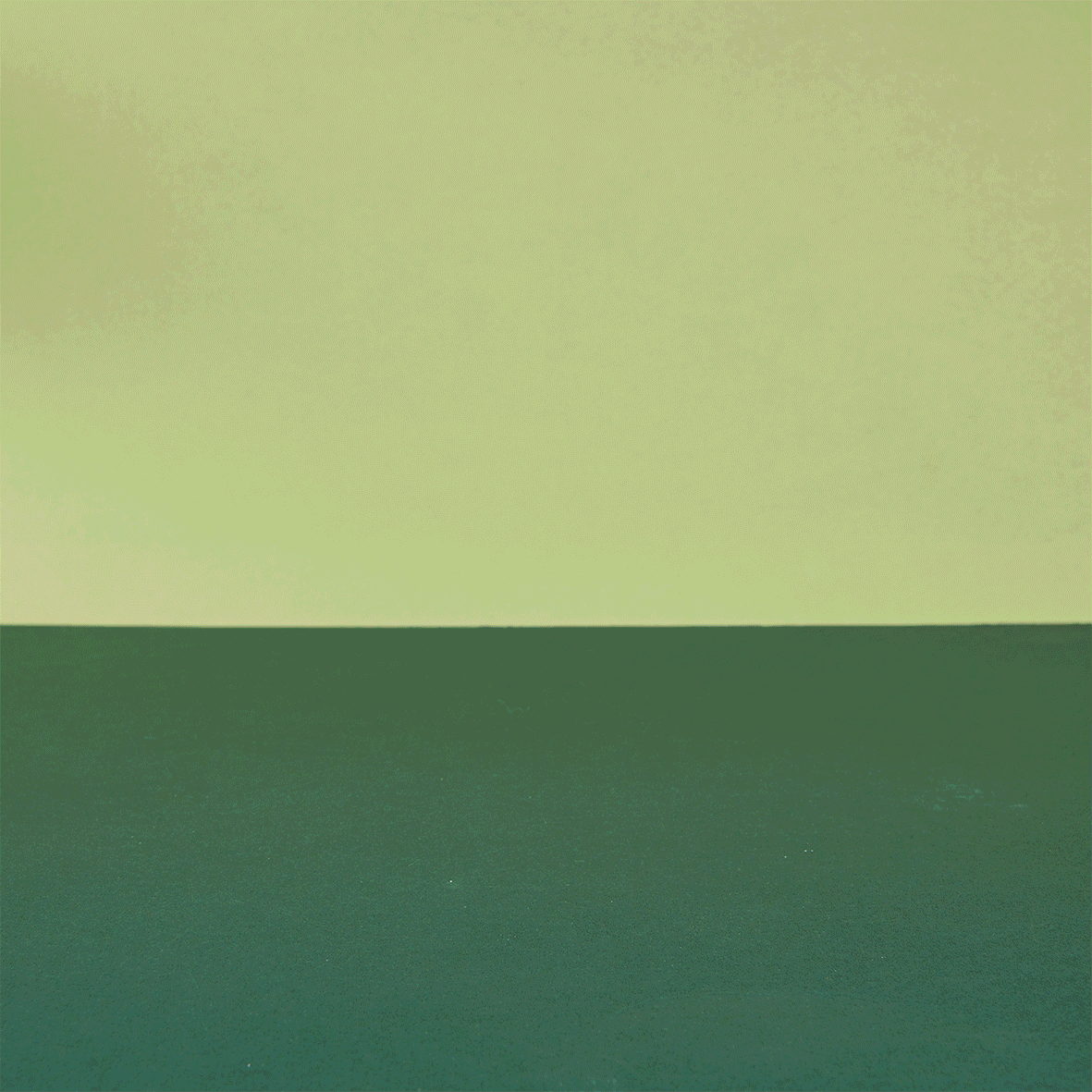 13 Farmyard Animals Shelf Set - Wooden Farm Toys | Tender Leaf Toys