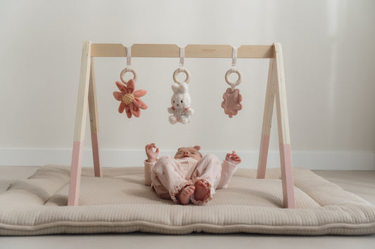 Little Dutch Baby Girl Play Bundle