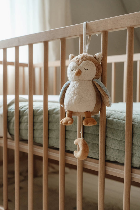 Little Dutch Owl Music Box Toy