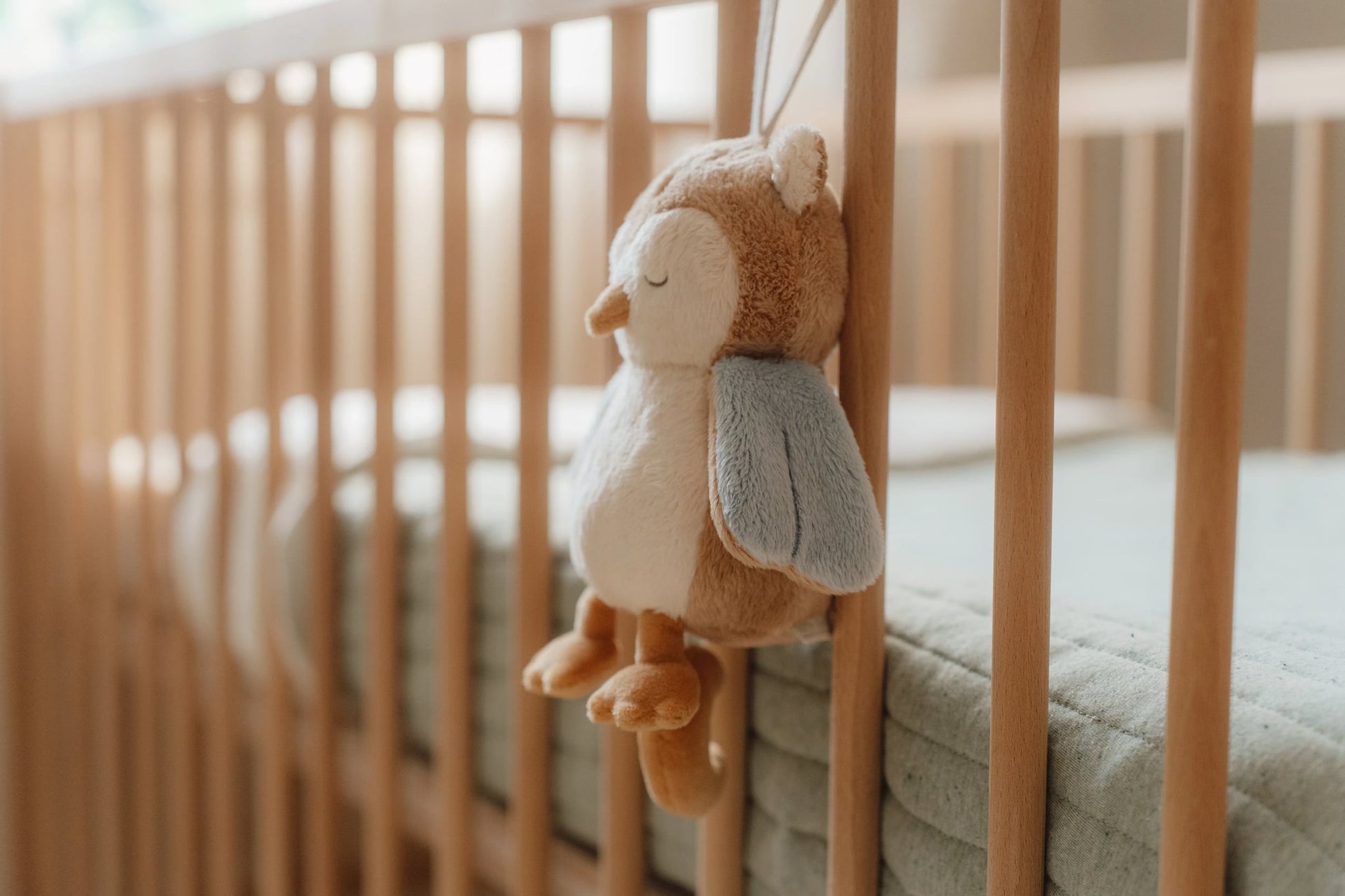 Little Dutch Owl Music Box Toy