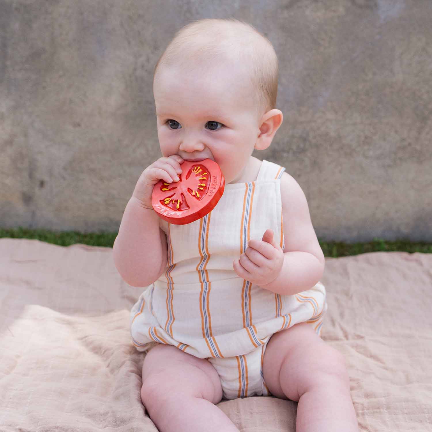 Baby holding a red tomato outdoors on a blanket