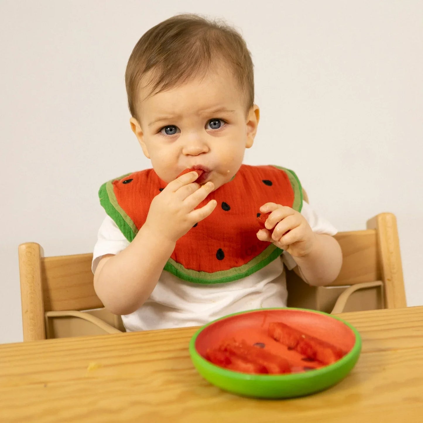 Watermelon Feeding Bib - Organic